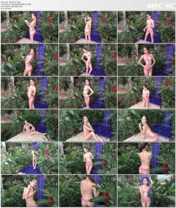 image hosted at ImgDrive.net