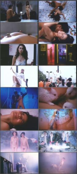 image hosted at ImgDrive.net