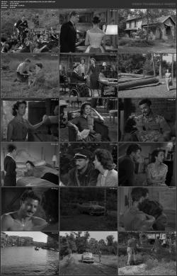 image hosted at ImgDrive.net