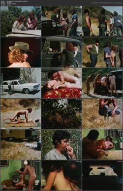 image hosted at ImgDrive.net