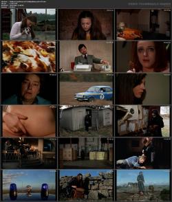 image hosted at ImgDrive.net