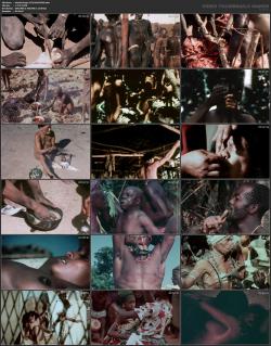 image hosted at ImgDrive.net