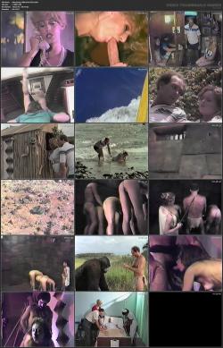 image hosted at ImgDrive.net