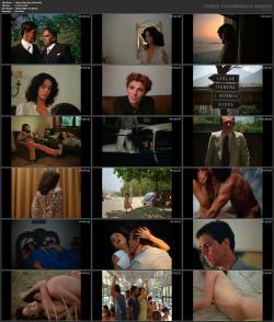 image hosted at ImgDrive.net