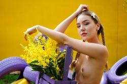 image hosted at ImgDrive.net