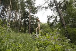 image hosted at ImgDrive.net