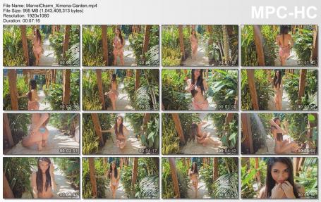 image hosted at ImgDrive.net