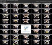 Angel Wicky - Lapdance - StockingsVR [Oculus]_360_3dv.mp4.jpg image hosted at ImgDrive.net