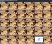 image hosted at ImgDrive.net