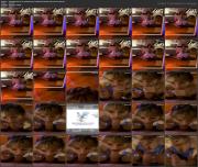 image hosted at ImgDrive.net