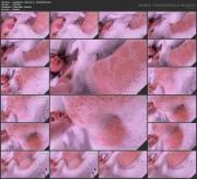 image hosted at ImgDrive.net