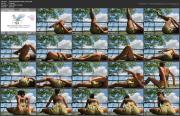 image hosted at ImgDrive.net