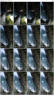 image hosted at ImgDrive.net