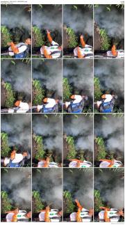 image hosted at ImgDrive.net