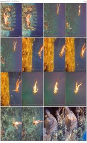 image hosted at ImgDrive.net