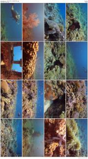 image hosted at ImgDrive.net