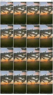 image hosted at ImgDrive.net