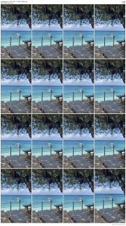 image hosted at ImgDrive.net