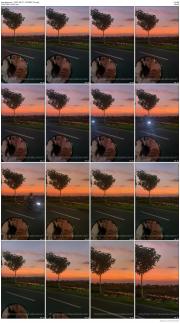 image hosted at ImgDrive.net