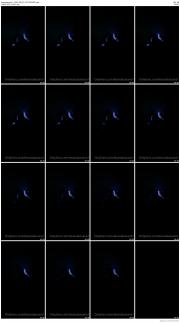 image hosted at ImgDrive.net