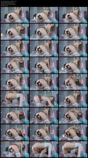 image hosted at ImgDrive.net