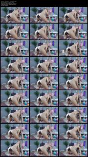 image hosted at ImgDrive.net