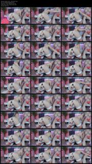 image hosted at ImgDrive.net