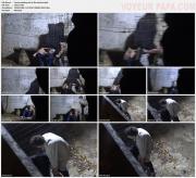 image hosted at ImgDrive.net