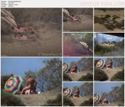 image hosted at ImgDrive.net