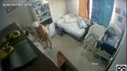 66b178d288945 Caught mom and son with a hidden camera 09