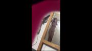 66ee10169175d Hidden camera caught her dress and undress before shower 75