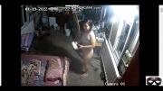 670dc6edf27d9 Caught mom and son with a hidden camera 38