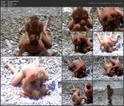 image hosted at ImgDrive.net