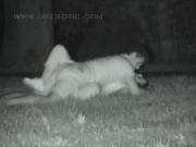 image hosted at ImgDrive.net