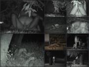 image hosted at ImgDrive.net