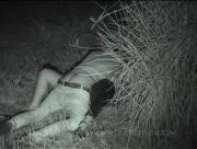 image hosted at ImgDrive.net