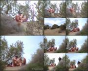 image hosted at ImgDrive.net