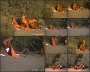 image hosted at ImgDrive.net