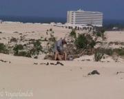 image hosted at ImgDrive.net