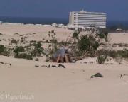 image hosted at ImgDrive.net