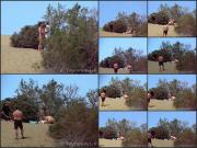 image hosted at ImgDrive.net