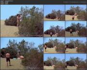 image hosted at ImgDrive.net