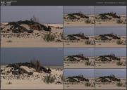 image hosted at ImgDrive.net