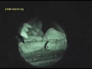 image hosted at ImgDrive.net