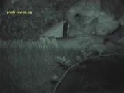 image hosted at ImgDrive.net