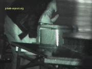 image hosted at ImgDrive.net