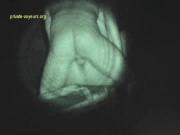 image hosted at ImgDrive.net