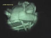 image hosted at ImgDrive.net