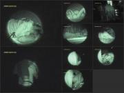 image hosted at ImgDrive.net