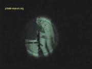 image hosted at ImgDrive.net